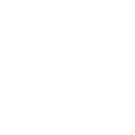 Summer Camp